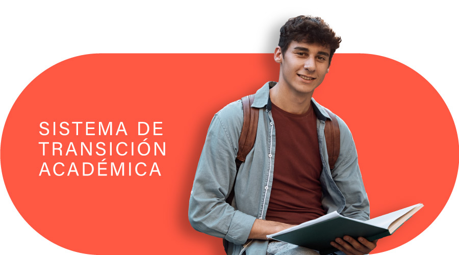 Sistema de transición académica